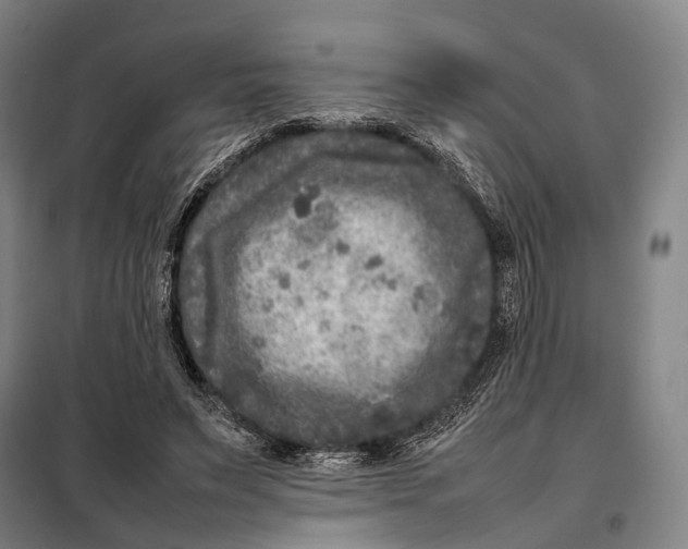 X0000097920495200804041527