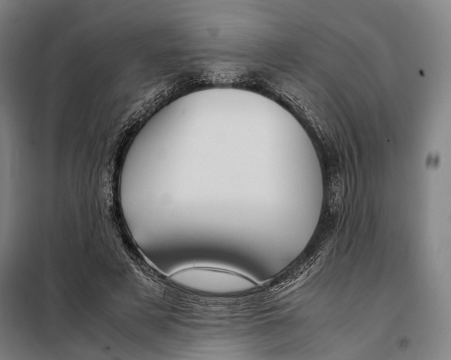 X0000097920497200804041527