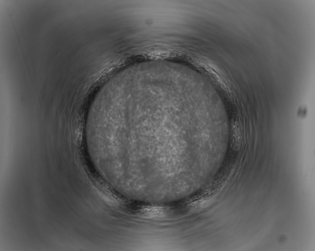 X0000097920499200804041527