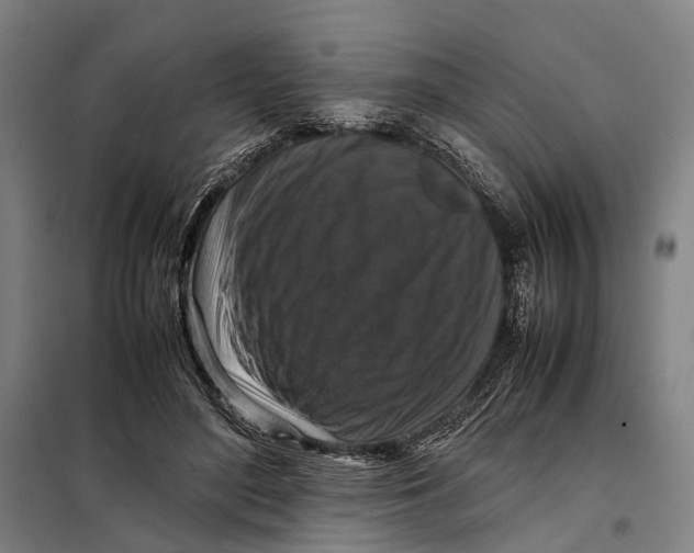 X0000097920500200804041527