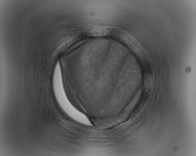 X0000097920501200804041527