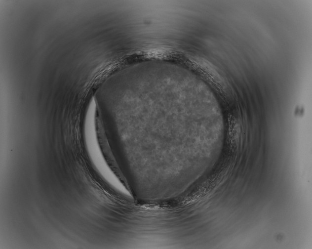 X0000097920502200804041527