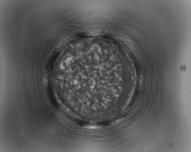 X0000097920503200804041527