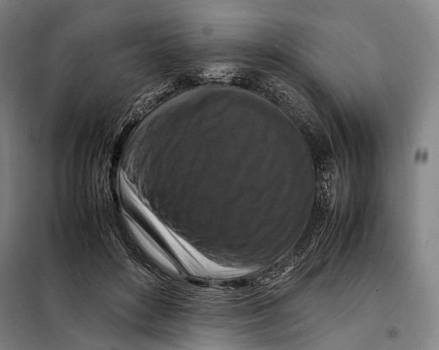 X0000097920504200804041527