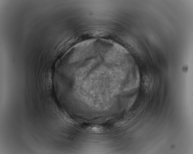 X0000097920506200804041527