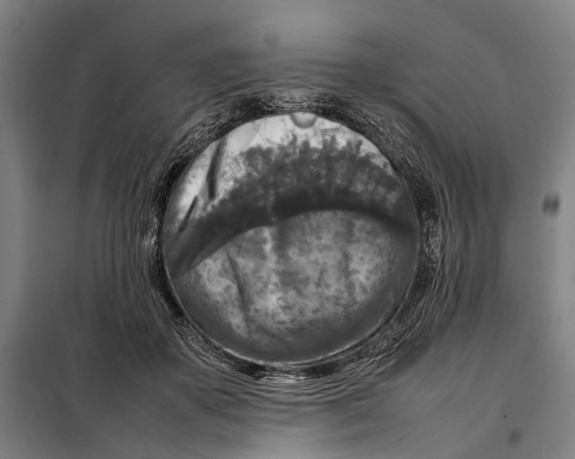 X0000097920507200804041527