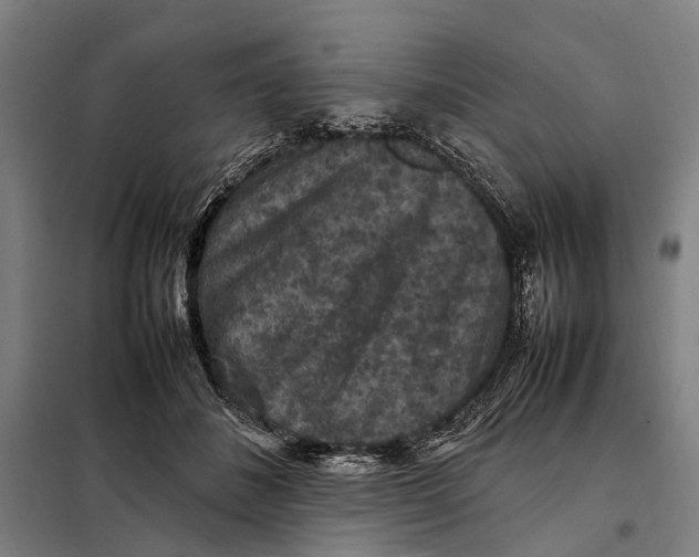 X0000097920508200804041527