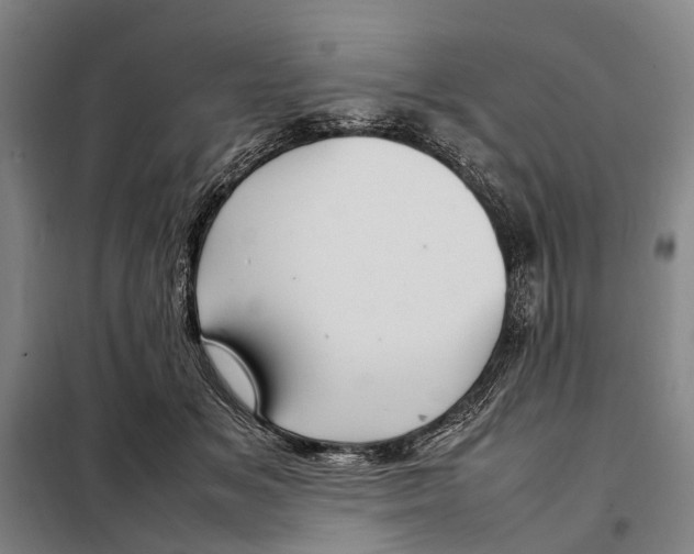 X0000097920509200804041527