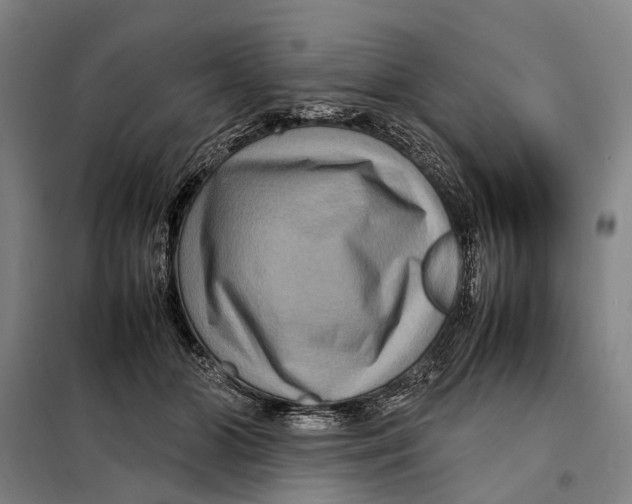 X0000097920510200804041527