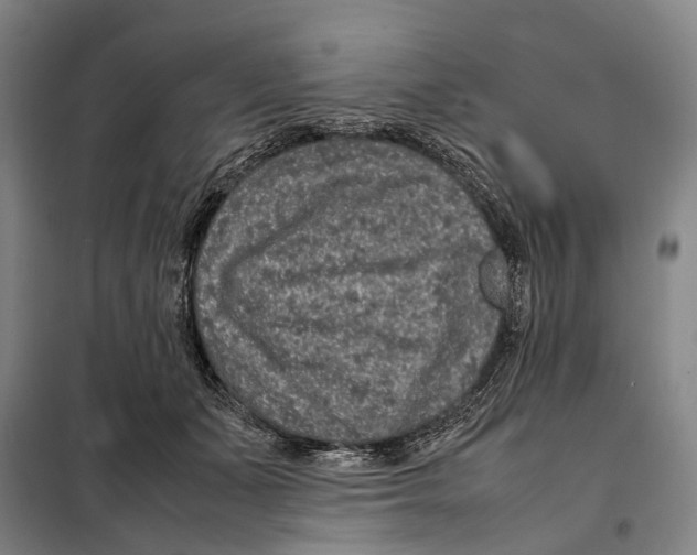 X0000097920511200804041526