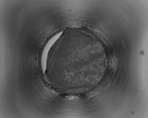 X0000097920512200804041526