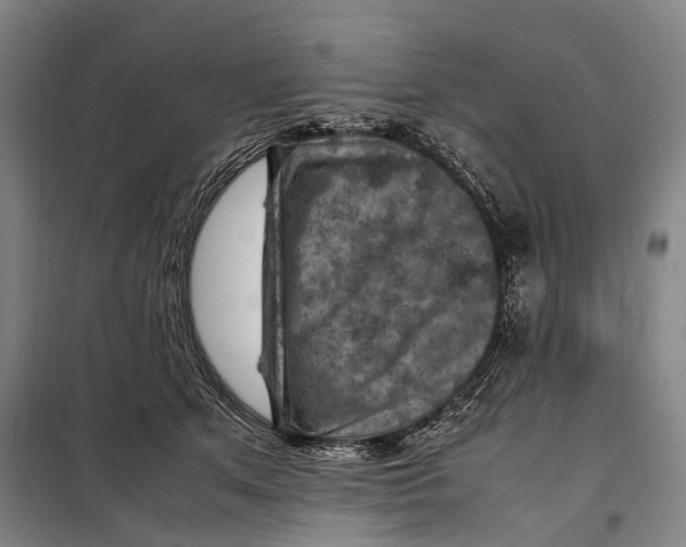 X0000097920513200804041526