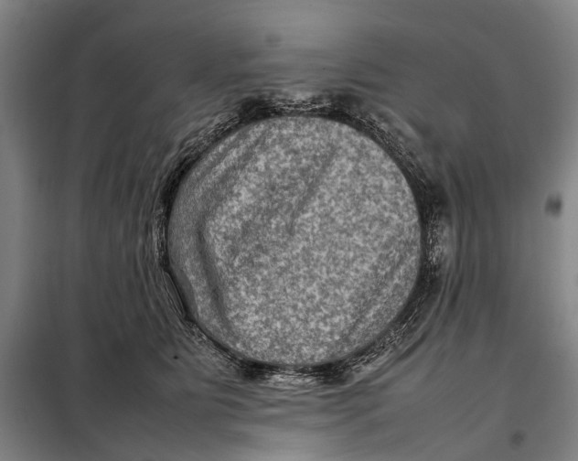 X0000097920515200804041526