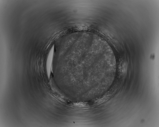 X0000097920516200804041526