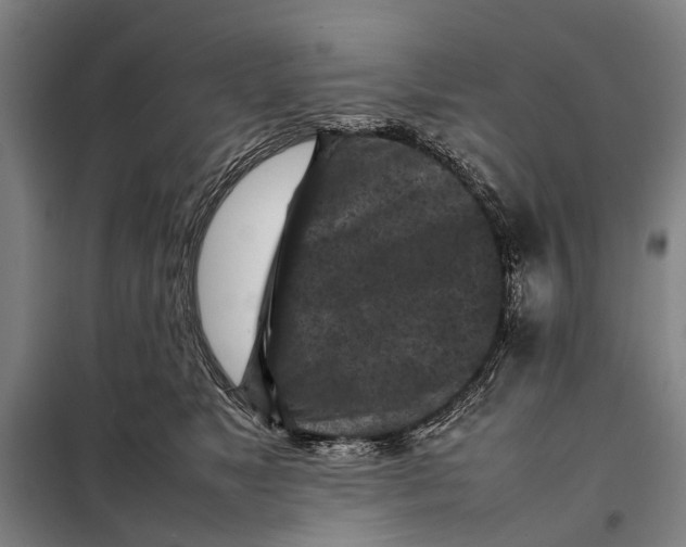 X0000097920517200804041526