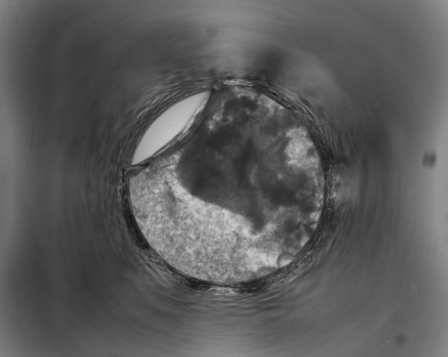 X0000097920519200804041526