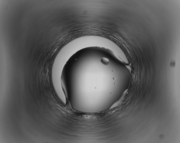 X0000097920520200804041526