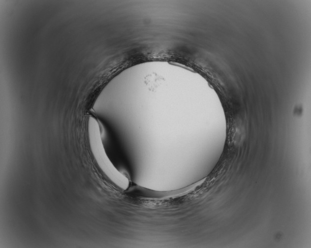 X0000097920521200804041526