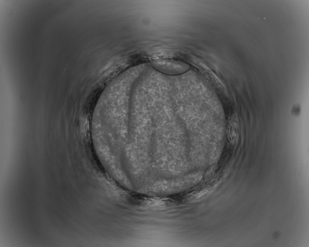 X0000097920523200804041526