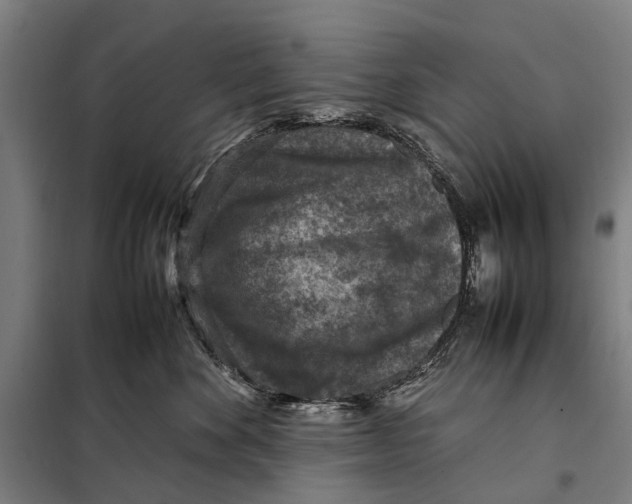 X0000097920524200804041526