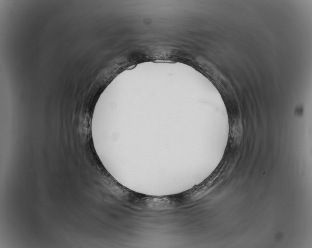 X0000097920525200804041526