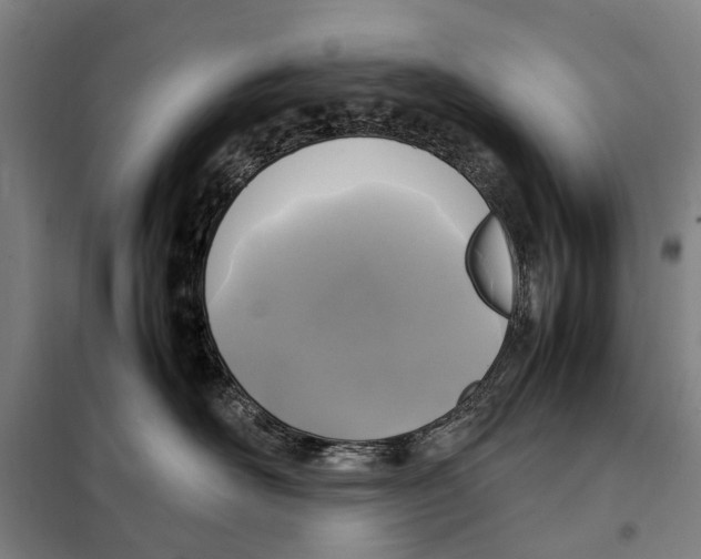 X0000097920526200804041526