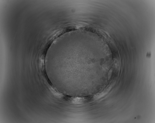 X0000097920527200804041526