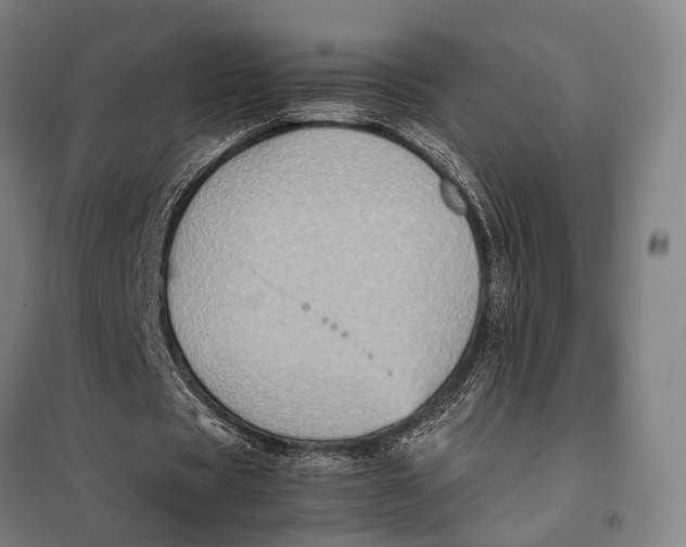 X0000097920529200804041526