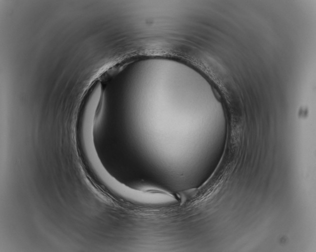 X0000097920530200804041526