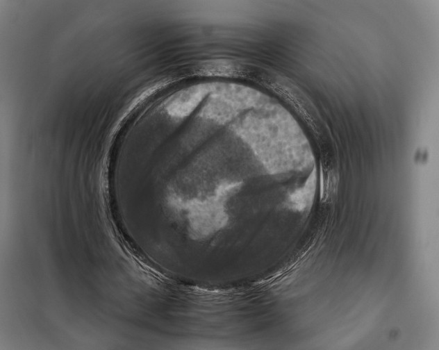 X0000097920531200804041526