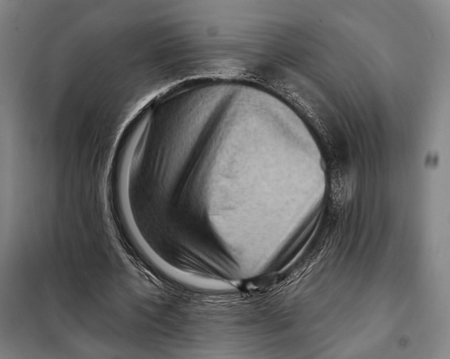 X0000097920532200804041526