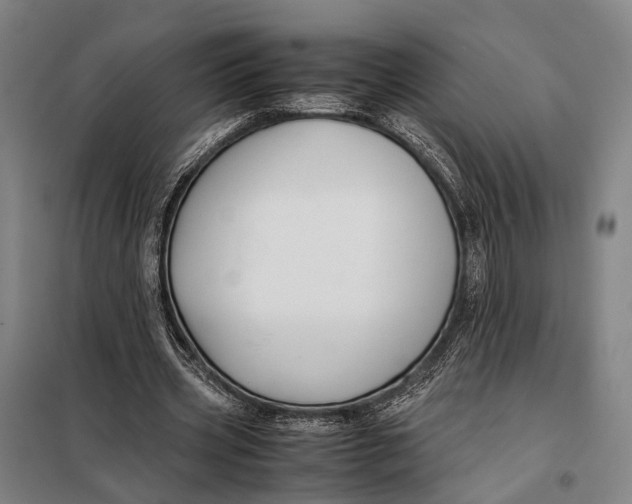 X0000097920533200804041526