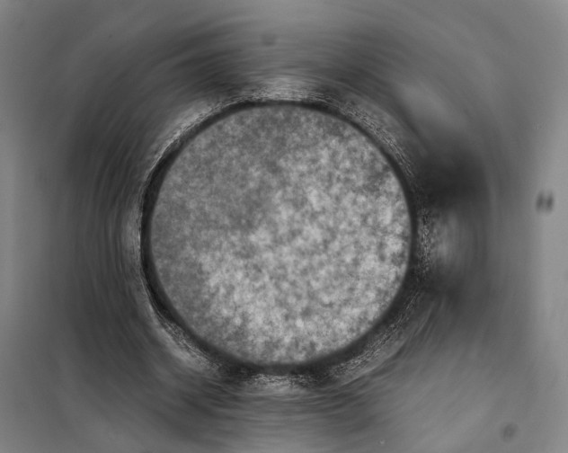 X0000097920534200804041526