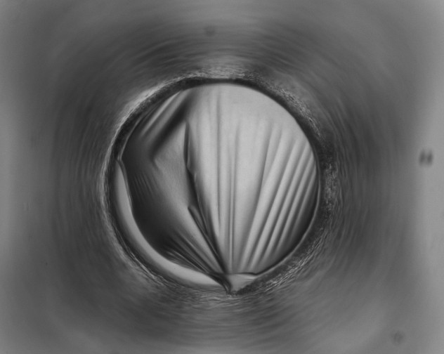 X0000097920536200804041526