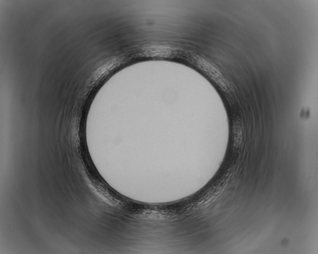 X0000097920538200804041526