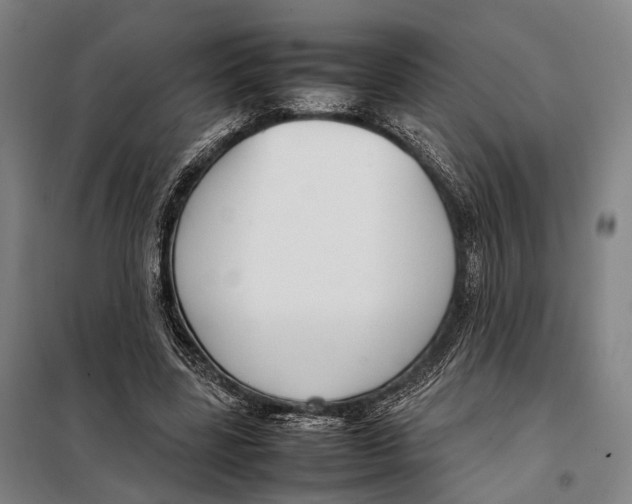 X0000097920539200804041526