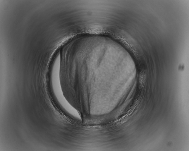 X0000097920540200804041526