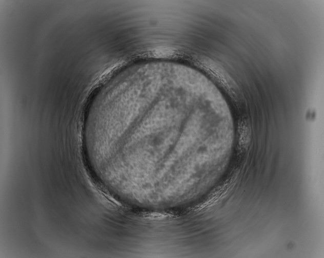 X0000097920542200804041526