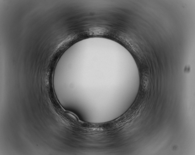 X0000097920543200804041526