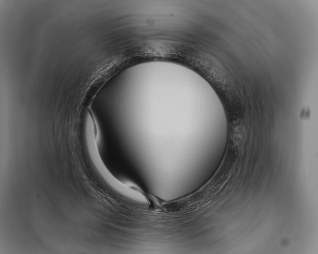 X0000097920544200804041526