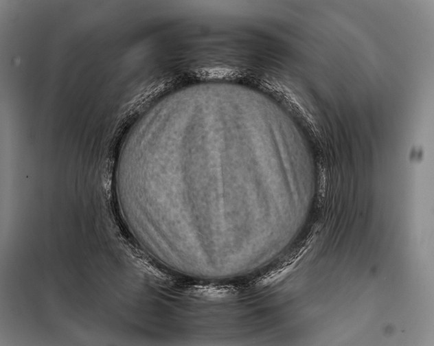 X0000097920545200804041526