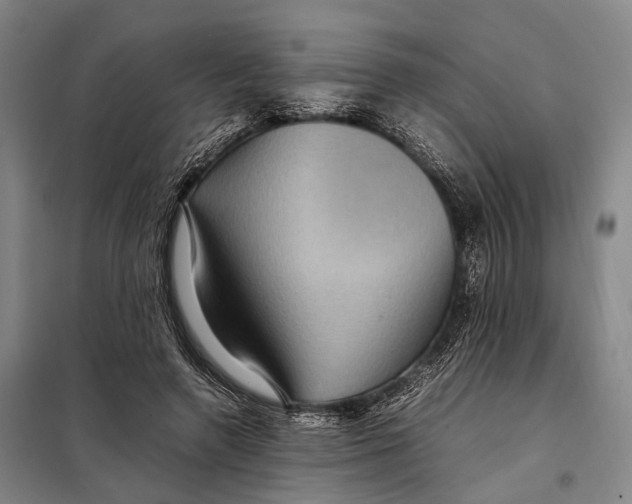 X0000097920546200804041526