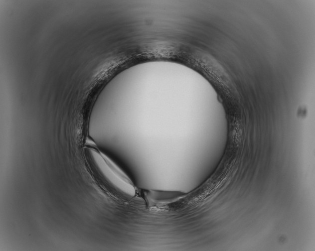 X0000097920548200804041526