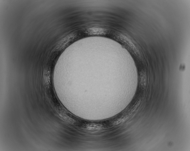 X0000097920549200804041526