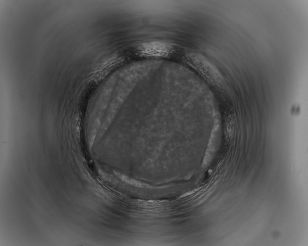 X0000097920551200804041526