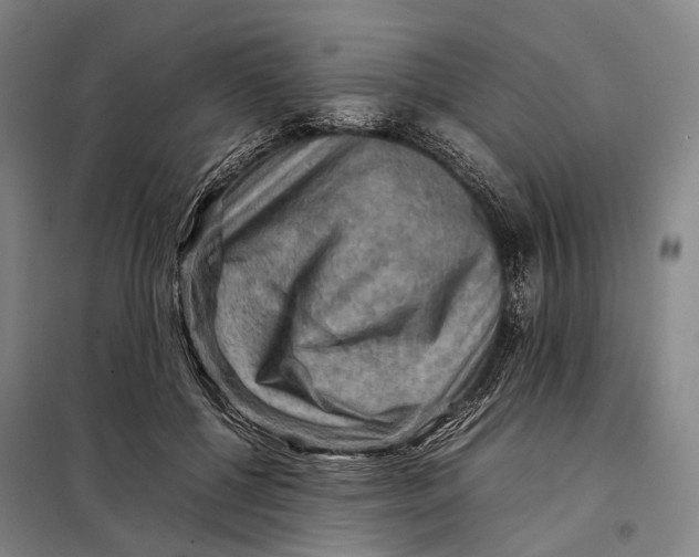 X0000097920552200804041526