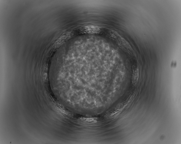 X0000097920553200804041526