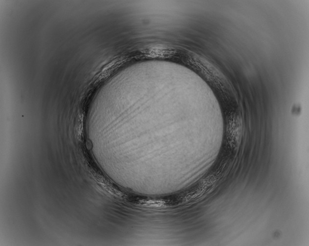 X0000097920554200804041526