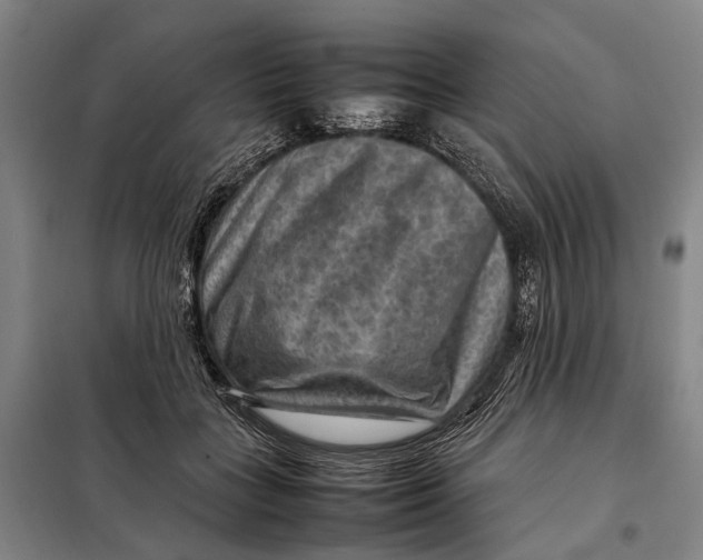 X0000097920555200804041526