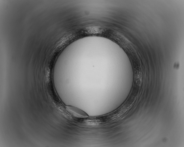 X0000097920556200804041526